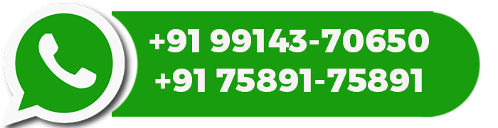 WhatsApp Support
